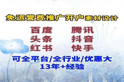 成功运用SEM服务实现品牌推广的案例分析